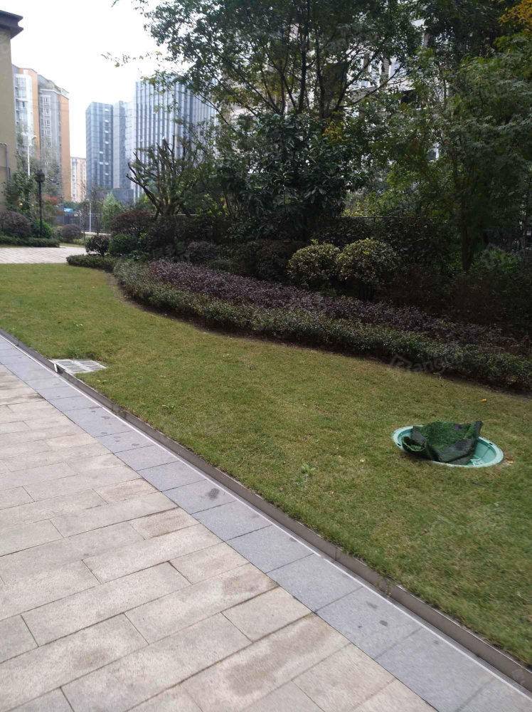 翡翠名邸小区图片