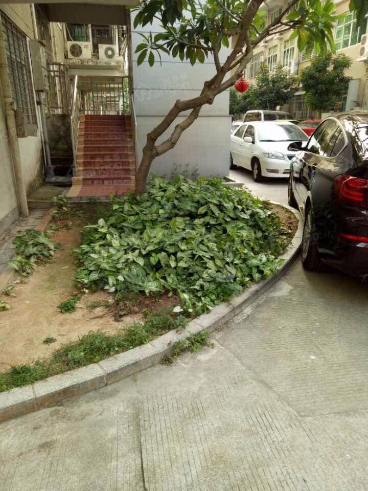 广厦花园小区图片
