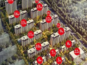 金辉优步水岸