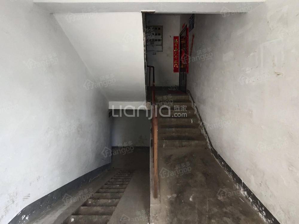 龙凤苑图片