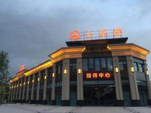 上华琚
