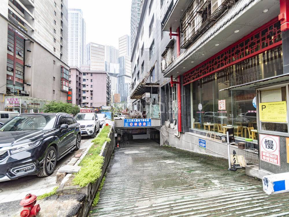 三王丽都小区图片