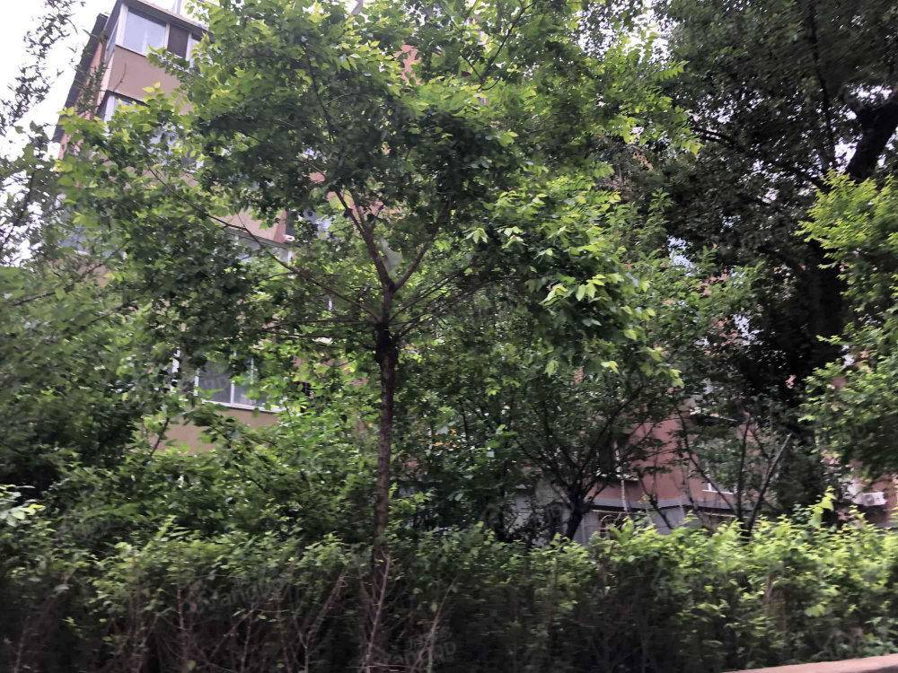 电力五小区小区图片