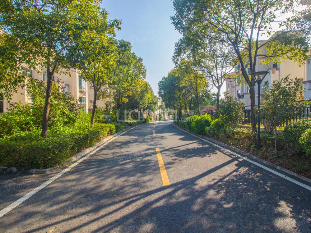 丽日天鹅湖小区图片