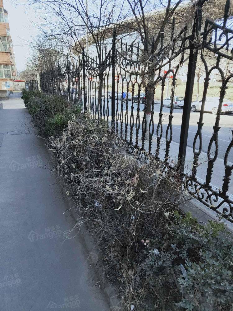 国税局家属楼小区图片