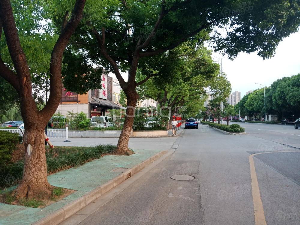 南华苑图片