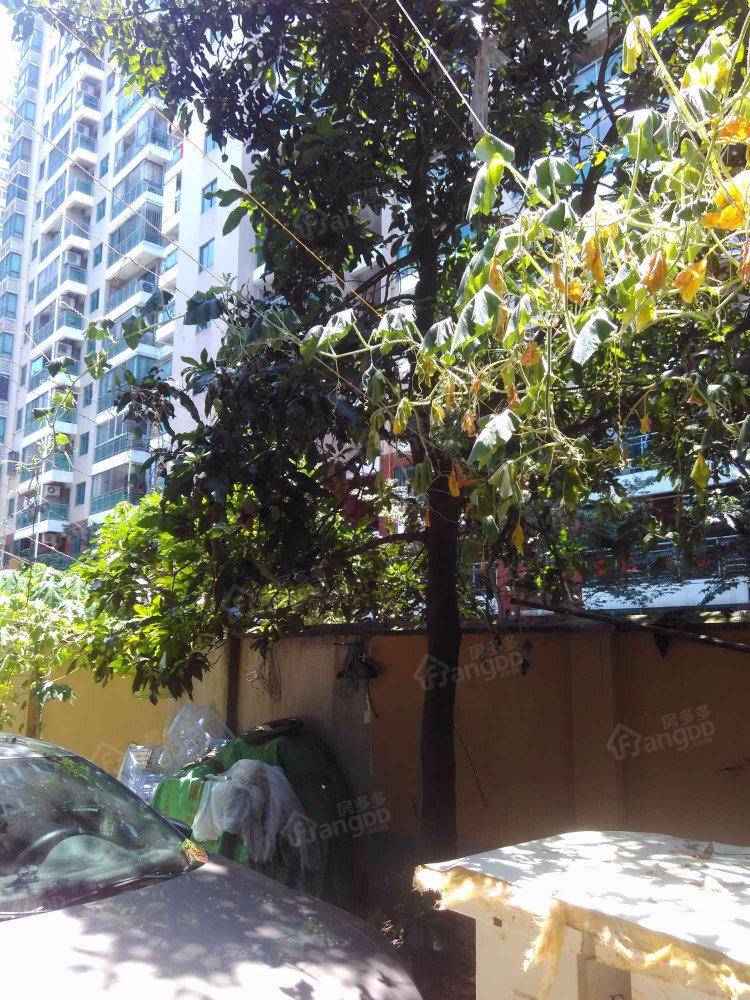 红辉新村小区图片