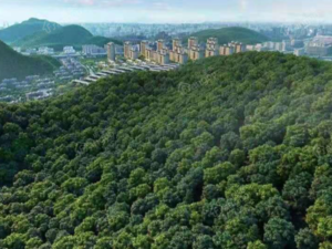 徐州富春山居