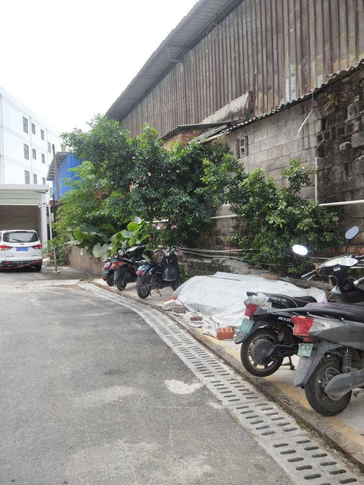 鲁班商贸城图片