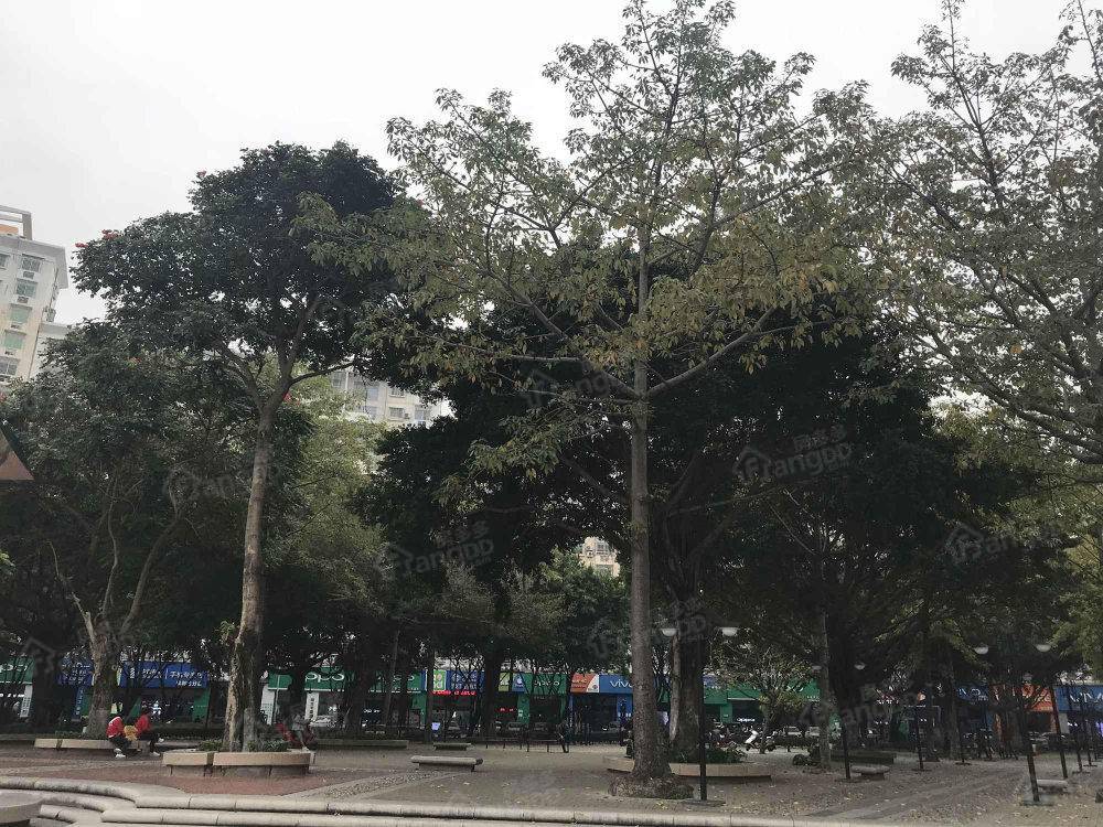 中新花园小区图片