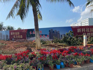 新科花园