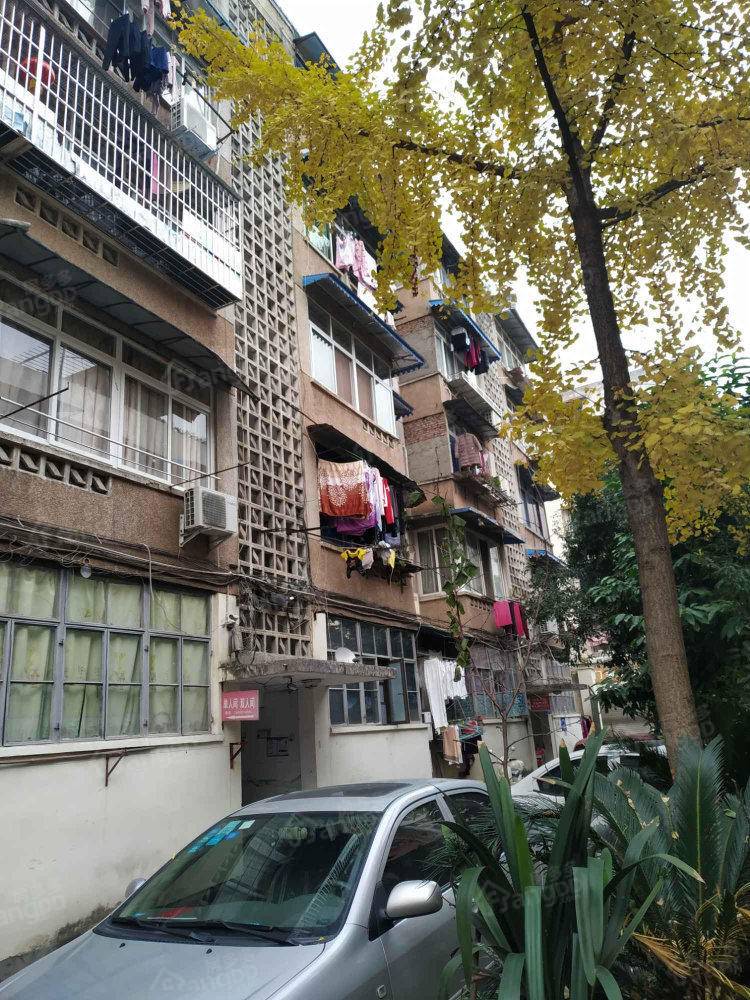 广场巷19号院小区图片