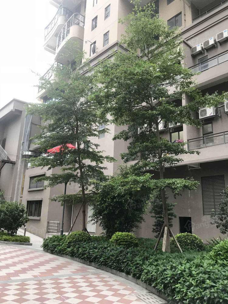 滨江1号小区图片