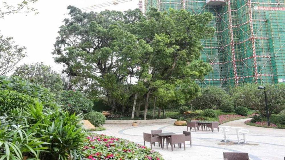 雅居乐江玥小区图片