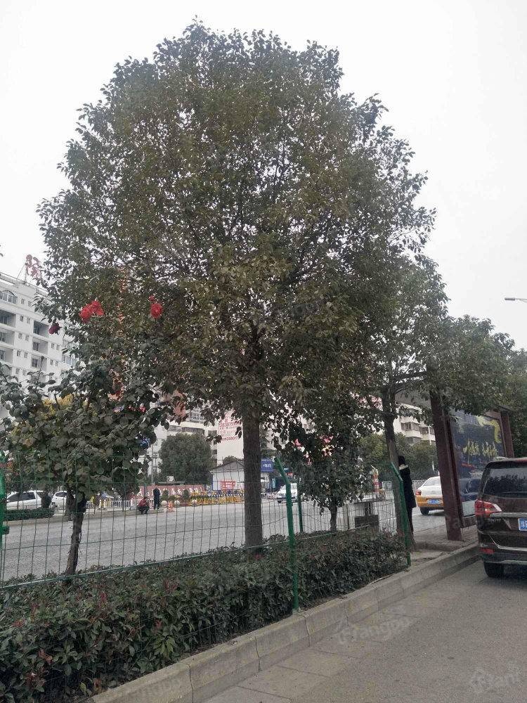 郑州财税金融职业学院家属院小区图片