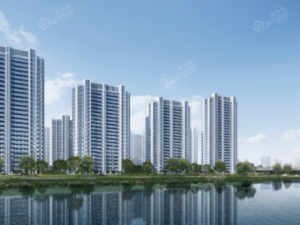 伟星 印江澜