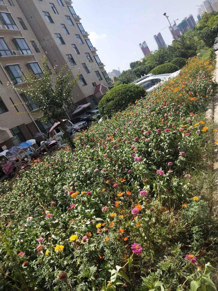 首府山庄小区图片