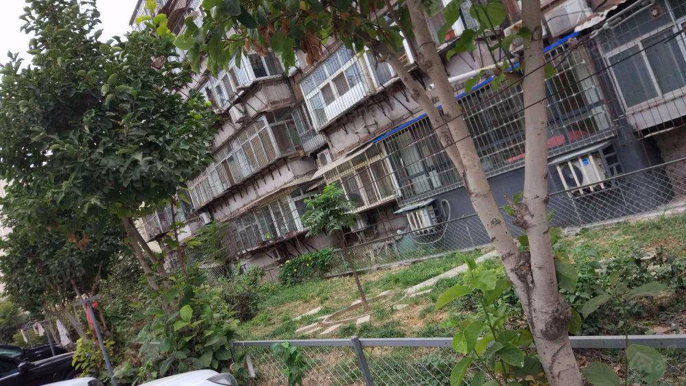新华楼(河东区)小区图片
