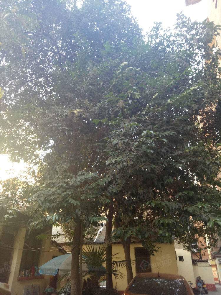 河医南社区小区图片