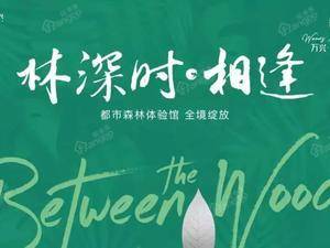 万兴林里间