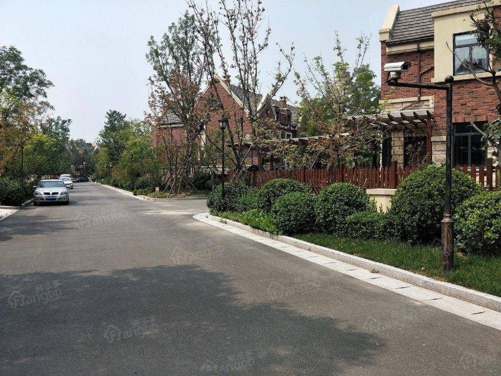 仁爱团泊湖丁香岛小区图片