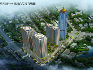 金都国际