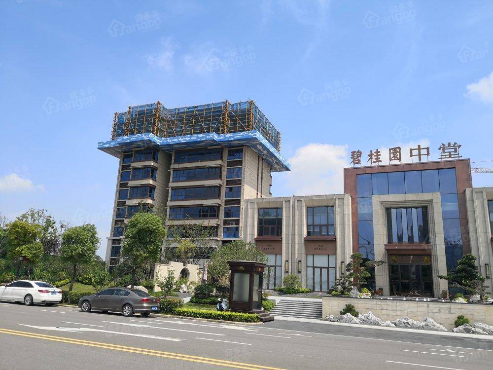 碧桂园中堂小区图片