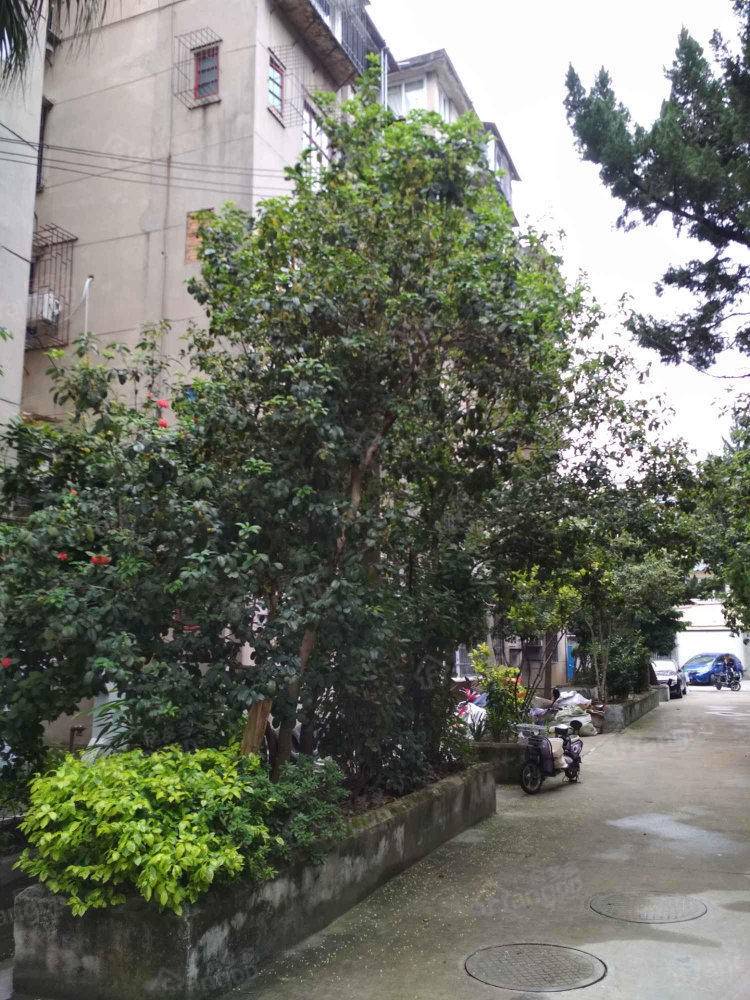 福建省建材控股有限公司宿舍小区图片