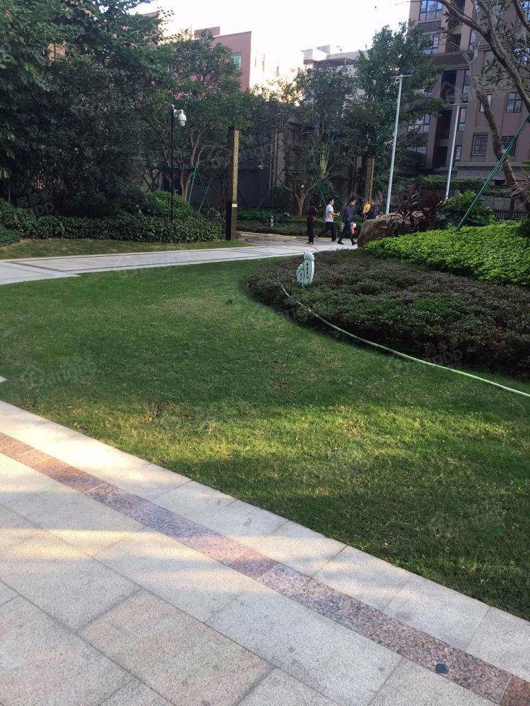 建德南洋国际图片
