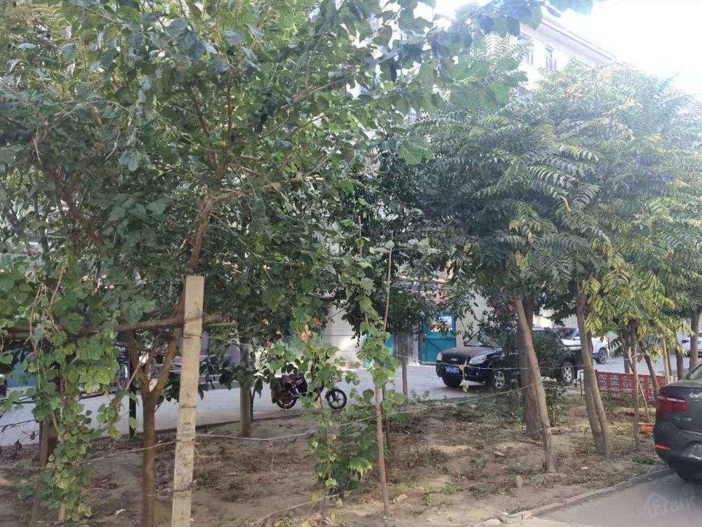 皮毛厂宿舍小区图片