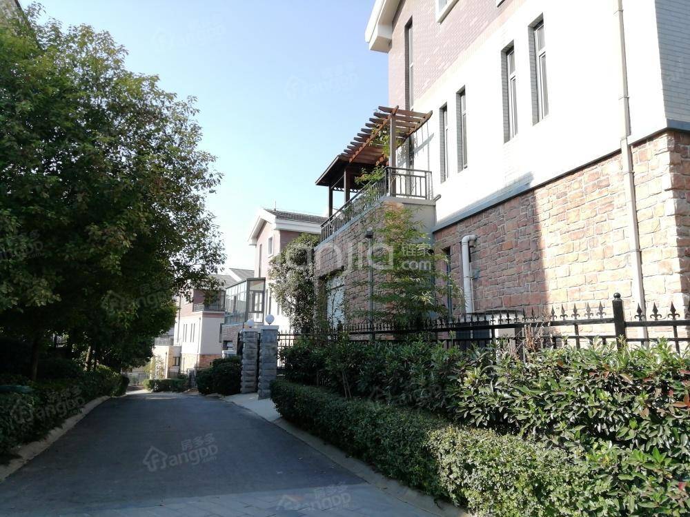 嵩山壹号小区图片