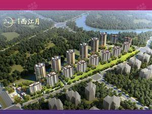 碧桂园西江月