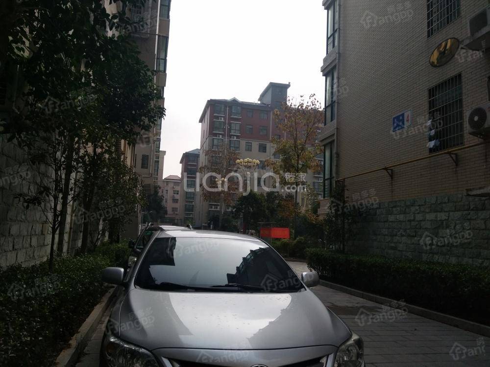 金海洋房小区图片