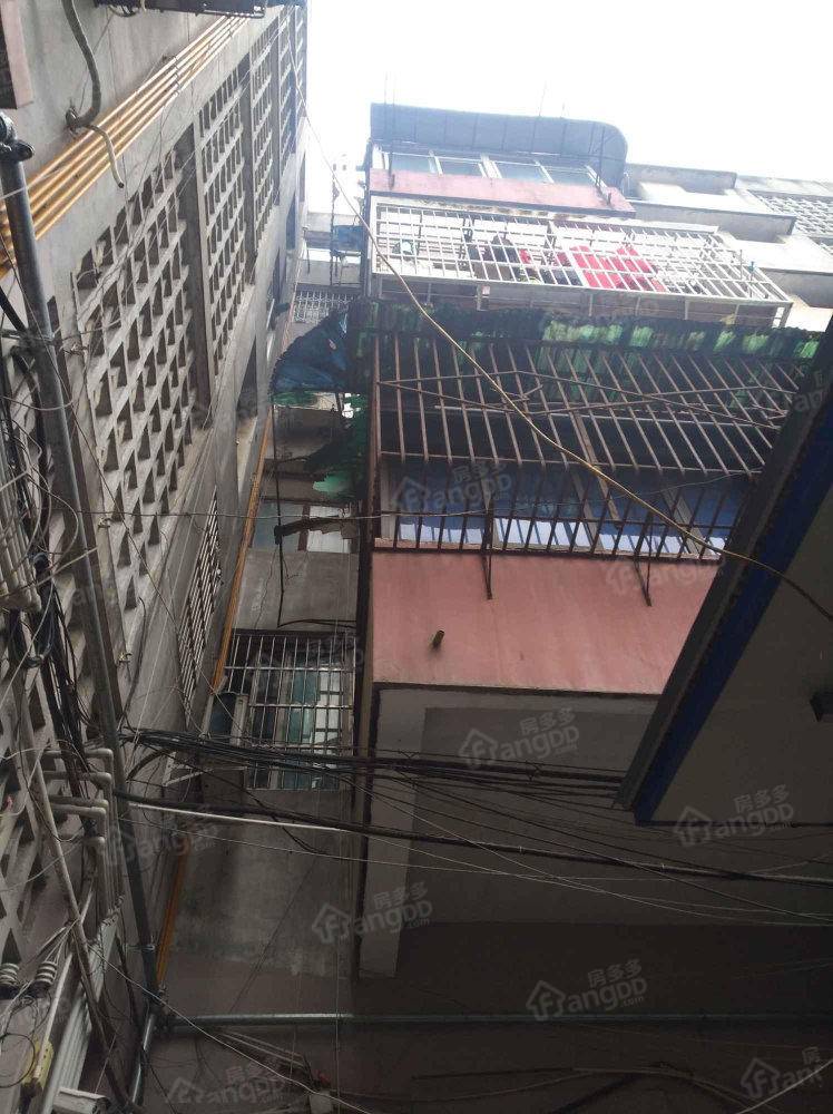 老国税局宿舍小区图片