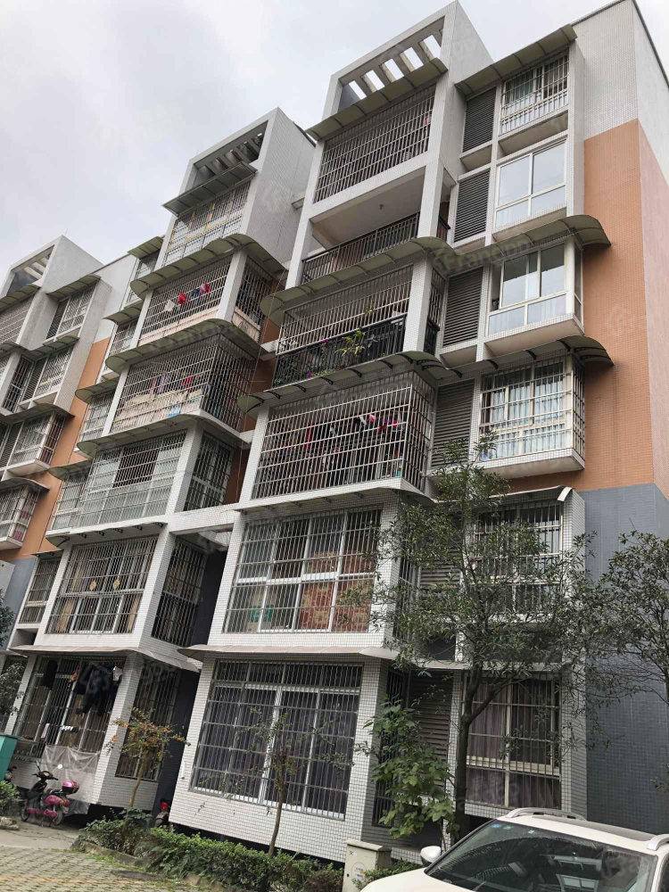 丰收小区小区图片
