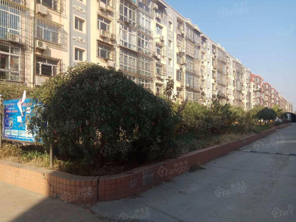 阳光公寓小区图片