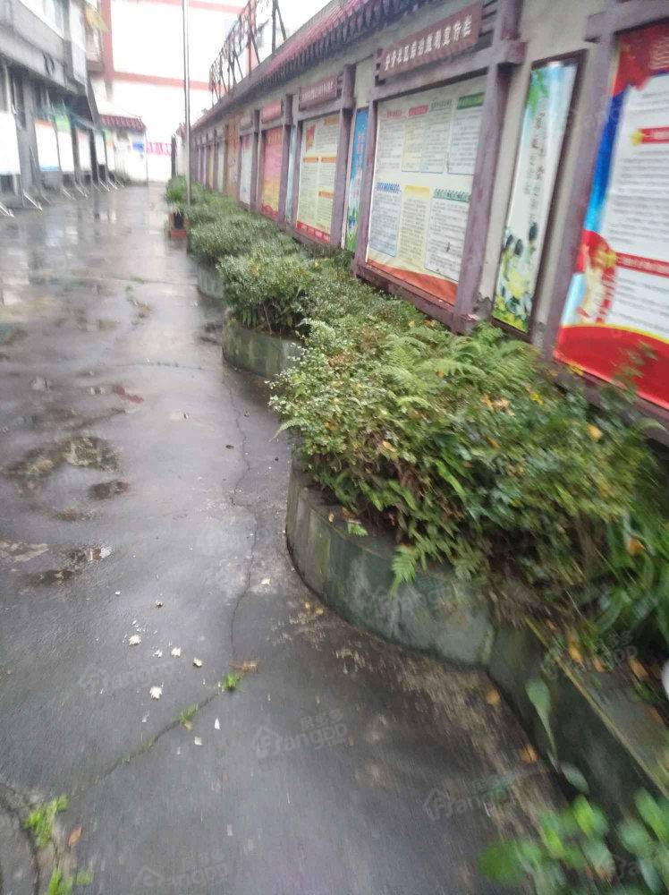 富贵苑小区图片