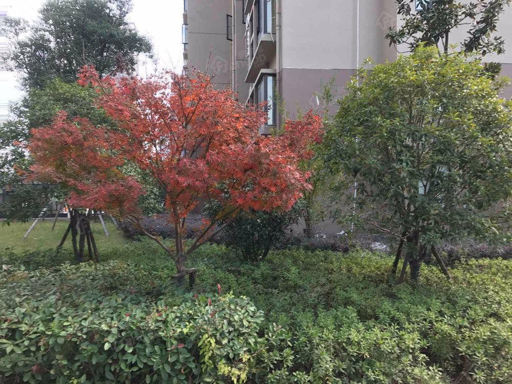 万鸿嘉园小区图片