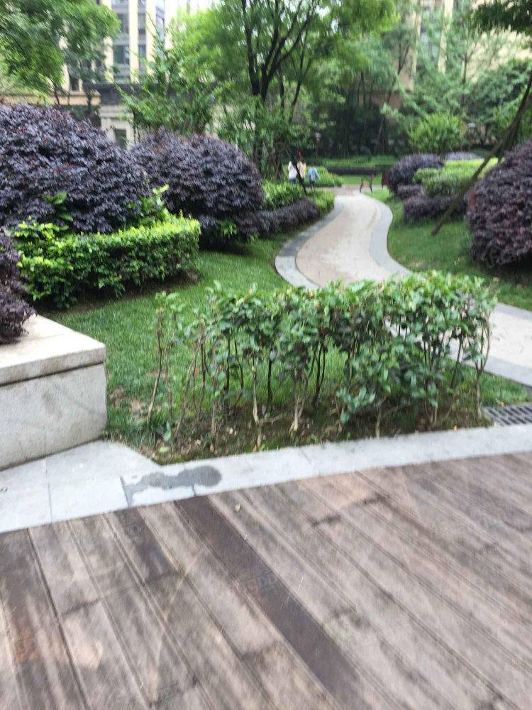 蒂梵尼T公馆小区图片