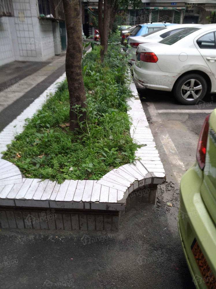 桥梁家苑小区图片