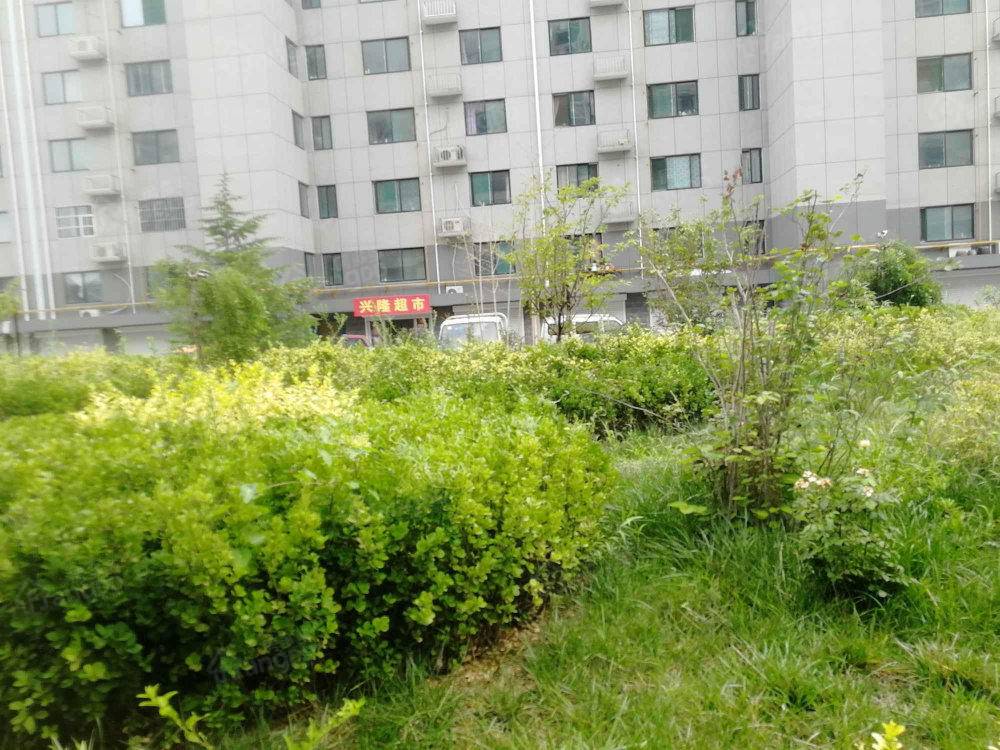 金星恒大花园小区图片