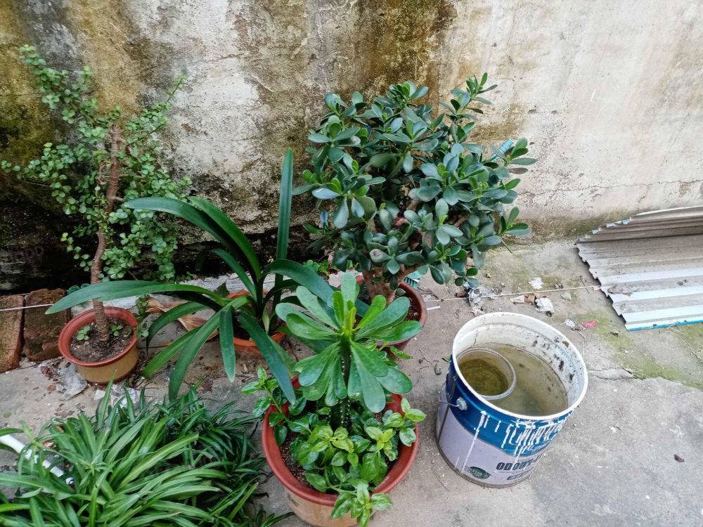 医药公司宿舍小区图片