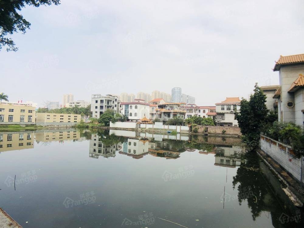 儒林新村小区图片