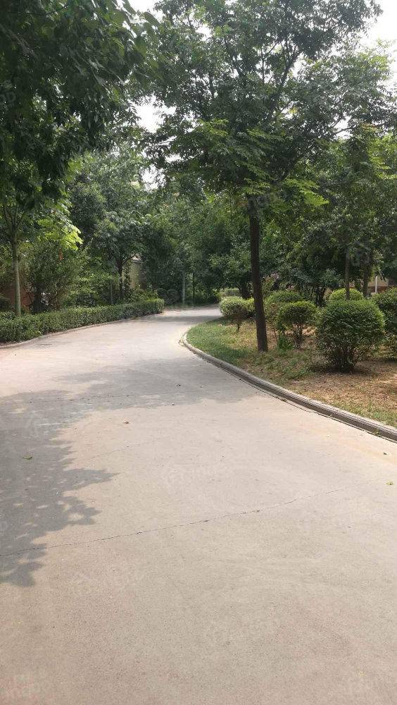阳光新城(公寓住宅)小区图片