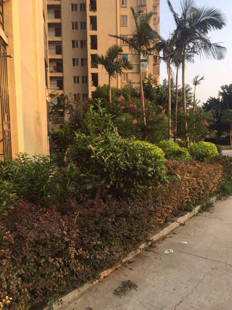 东山新苑一区小区图片