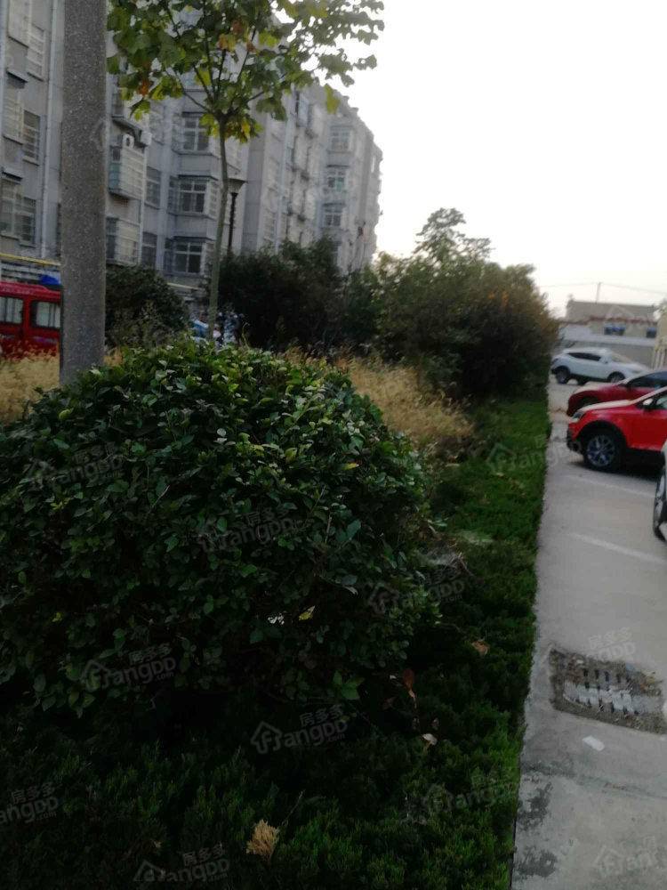 代庄社区小区图片