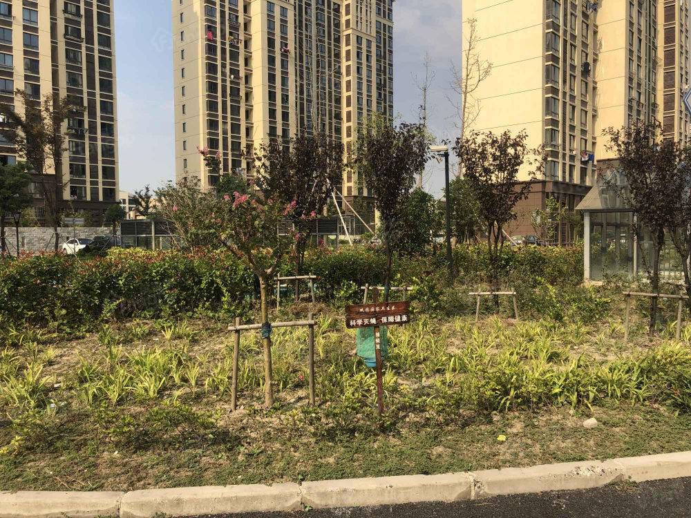 明卫佳苑小区图片