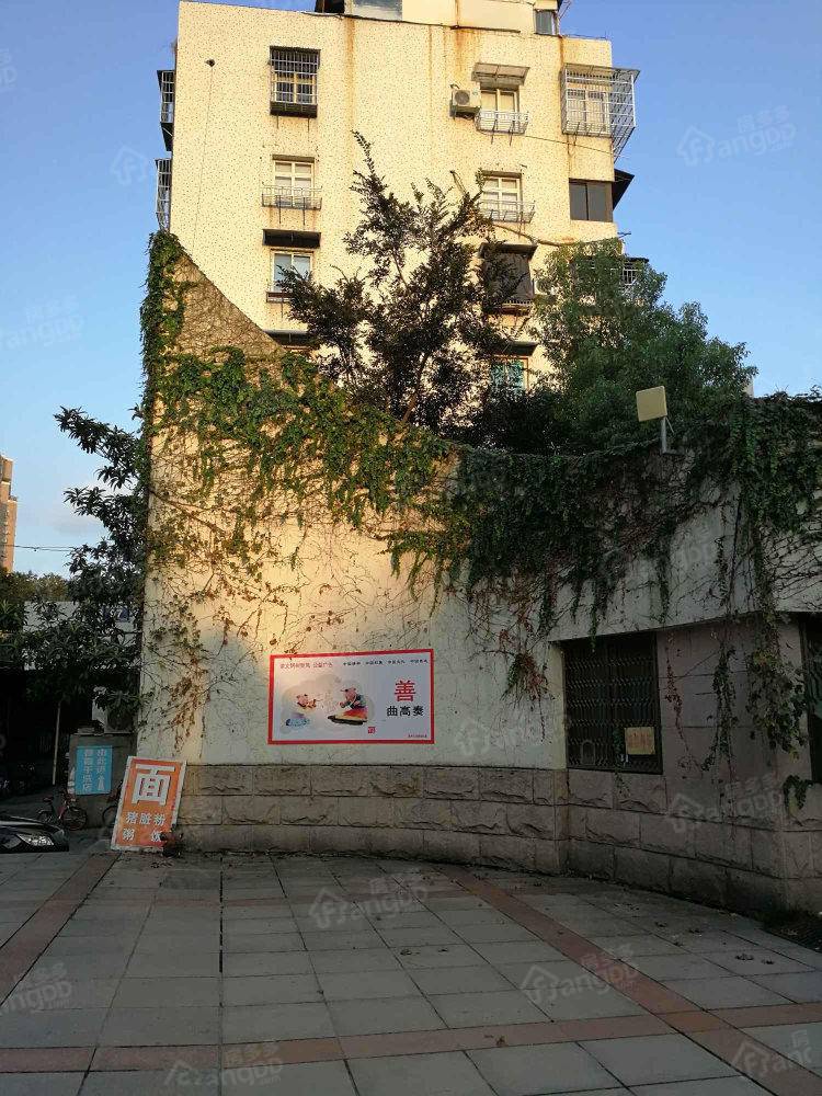 马鞍池社区小区图片