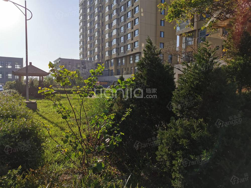 阳光观海苑小区图片