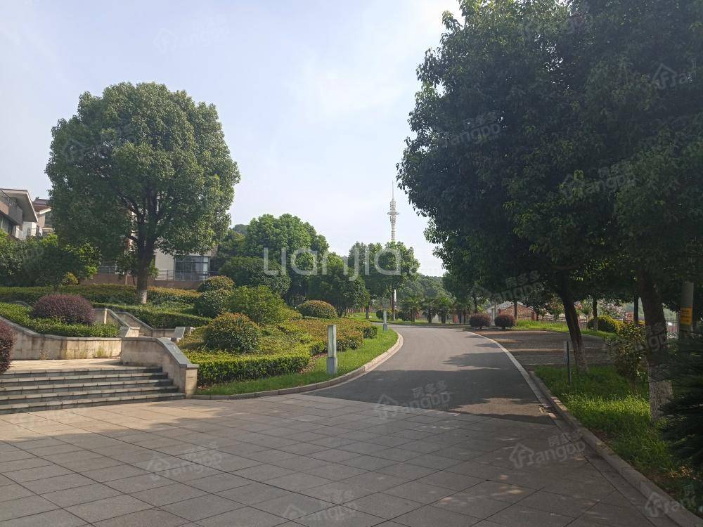龙山花园小区图片